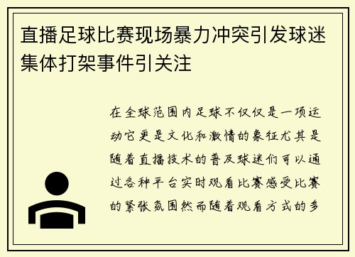 直播足球比赛现场暴力冲突引发球迷集体打架事件引关注